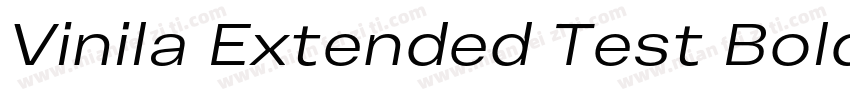 Vinila Extended Test Bold字体转换